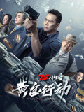 72小时黄金行动海报