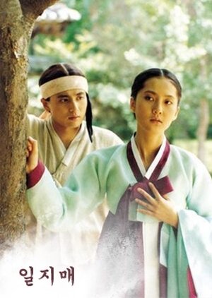 一枝梅 (1993年電視劇)海报